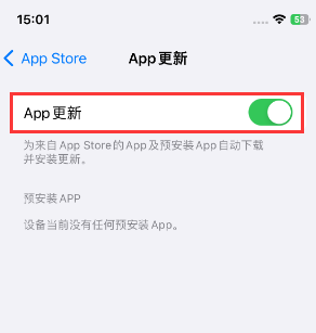 海安苹果15维修中心如何让iPhone15APP自动更新